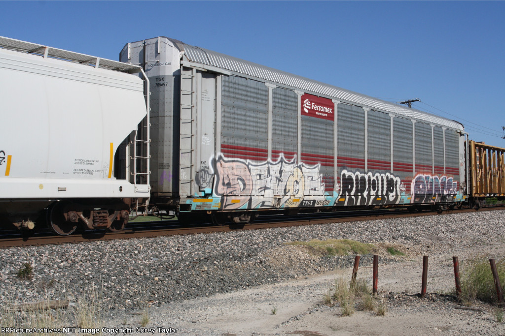 TTGX 705697